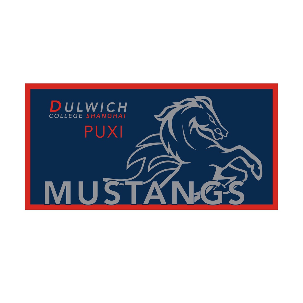 DCSPX Mustangs 泳巾